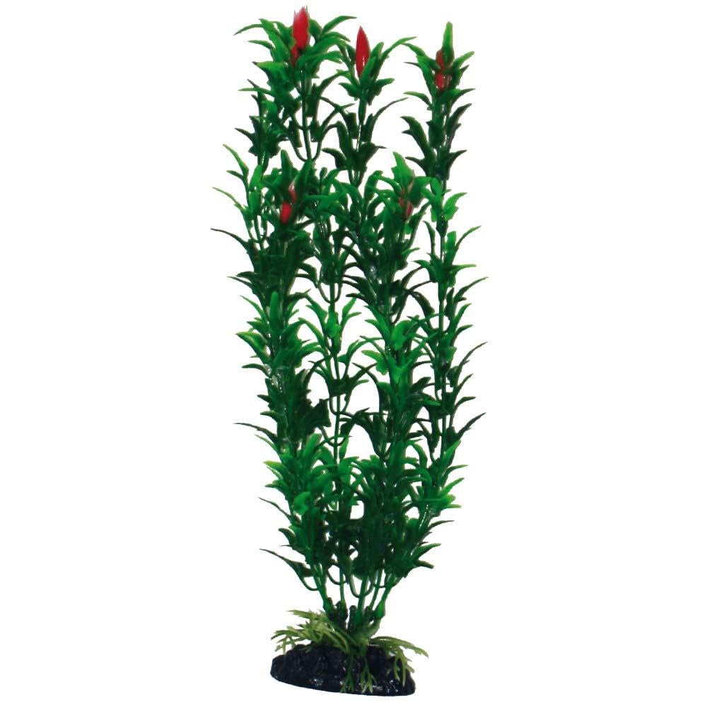 WAVE Plant Classic Egeria Flowers, Medium