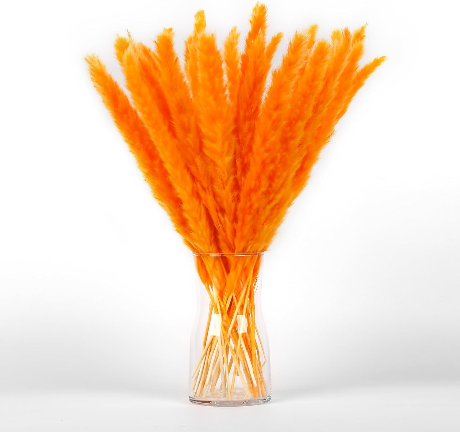 Dried & Preserved Flora - Orange Pampas Grass Bouquet 30PCS XMFAYUAN,Reed Grass,Dried Flowers,Dried Plant for Home Decor and Gifting