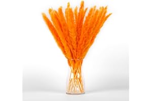 Orange Pampas Grass Bouquet 30PCS XMFAYUAN,Reed Grass,Dried Flowers,Colorful Pampas Grass Dried Plant for Home Decor and Gifting