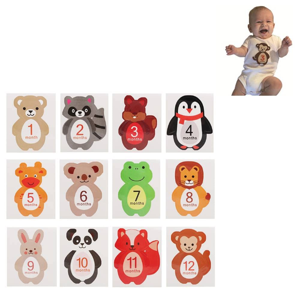Baby Monthly Stickers, 1-12 Months, Photo Props, 12 Pieces