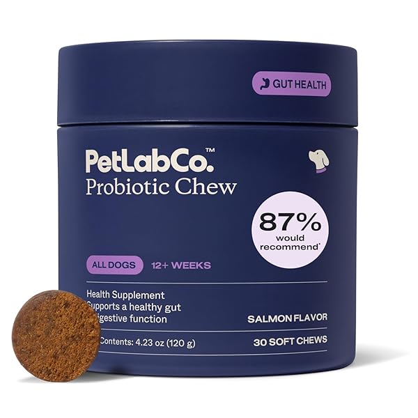 PETLAB CO. PROBIOTICS FOR DOGS, SUPPORT GUT HEALTH,...