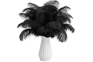 LAMAR FEATHER Lamar 20Pcs Black Ostrich Feathers 10-12'' Bulk Feathers for Decoration, Wedding Centerpieces, Mother's Day, Crafts, Carnival, Party Decor, Floral Arrangement, Bohemian Home Decor (Black)