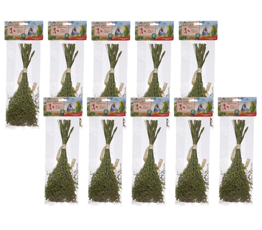 Dehner Best Nature snack for birds, 10 x 50 g (500 g)