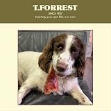 T.Forrest British Dried Whole Pig Ears for Dogs 10 Pack Grain Free view 2