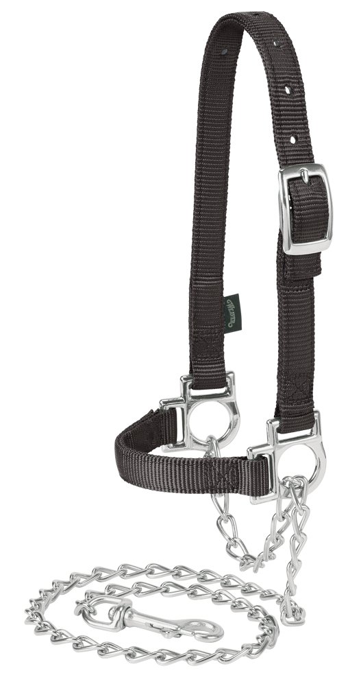 Weaver Leather Livestock Nylon Adjustable Sheep Halter with Chain Lead, Black