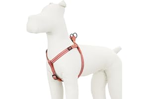Good Scout Dog Harness Small Sized Dog, Heavy Duty Durable Dog Body Harness for Easy Walking & Training, Adjustable for Comfortable & Safe Fit, Double D-Ring for Quick Leash Attachment, Brick
