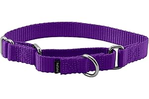 PetSafe Adjustable Martingale Collar - Only Tightens When Dogs Pull, Prevents Slipping Out - Helps with Strong Pullers, Increased Control - Alternative to Choke Collar - 3/4", Small, Deep Purple