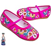 Princess Costume Shoes for Girls Gorgeous Mary-Jane Ballet Pumps Comfortable Low Heel Round Toe Flats Floral Embroidery Shoes