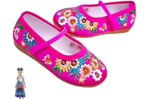 KEAIYOUHUO Encanto Costume Shoes for Girls Gorgeous Mary-Jane Ballet Pumps Comfortable Low Heel Round Toe Flats Floral Embroidery Shoes