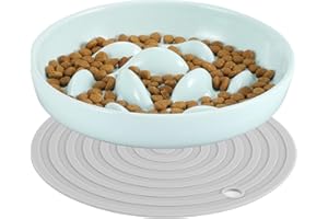 PETTOM Cat Slow Feeder Bowl, Ceramic Slow Feeder Cat Dog Bowls with Non-Slip Mat, Higher Edges Non-Spill Slow Eating Cat Food Bowl Puzzle Feeder Feeding Dish for Kitten Puppy Healthy Eating Diet