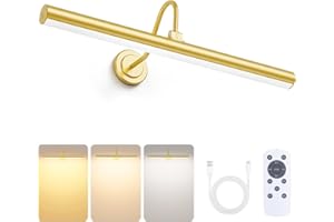 Bridika 16.5in Picture Lights for Wall Battery Operated, Wireless Picture Light with Remote, 3 Color Modes and Dimmable Classic Art Light for Paintings, Gallery, Dartboard with Timer (Gold, 1 Pack)