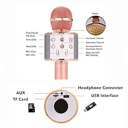 Wireless Bluetooth Karaoke Microphone,3 in 1