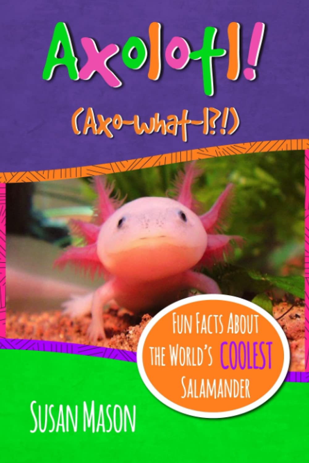 Axolotl Fun Facts About The World S Coolest Salamander An Info Picturebook For Kids Funny Fauna Mason Susan Shebs Stan Hsu Timothy Nafis Gary Amazon Co Uk Books