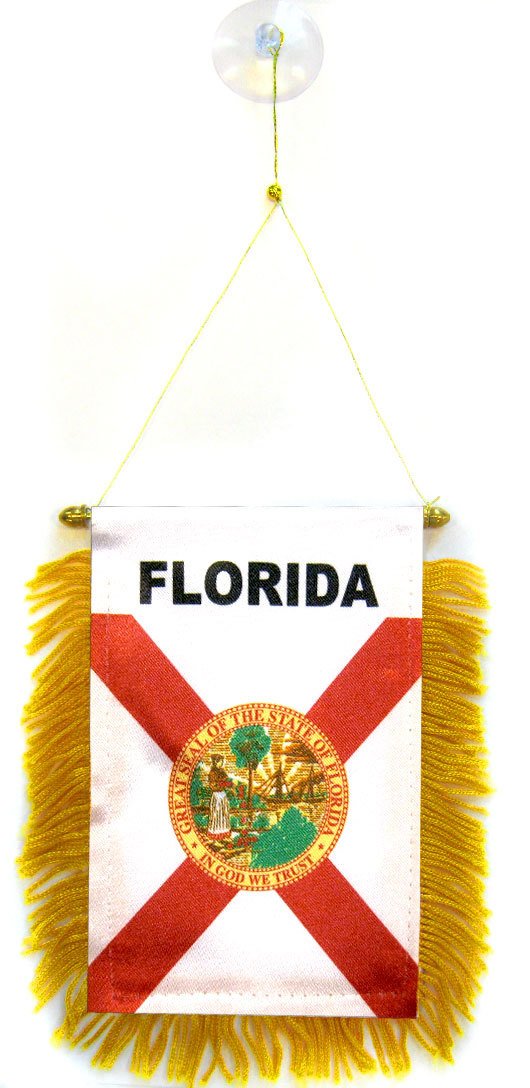AZ FLAG - Florida Mini Banner - 6'' x 4'' - 100% Polyester US state of Floride Small Pennant for Car - Double-sided Flag with Suction Cup Hanger