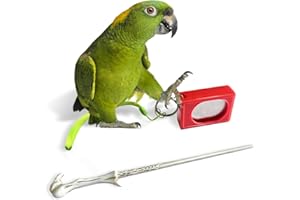 Parrot Training Clicker with Target Stick, Getting Started Bird Clicker Training Kit, Pet Training Stick Foster Discipline an