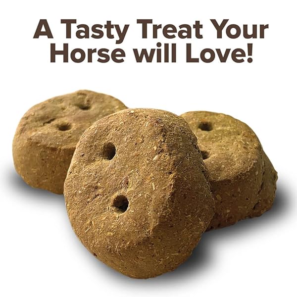 KENT NUTRITION GROUP-BSF 1240 MOLASSES ROUNDER’S HORSE TREAT, 30 OZ