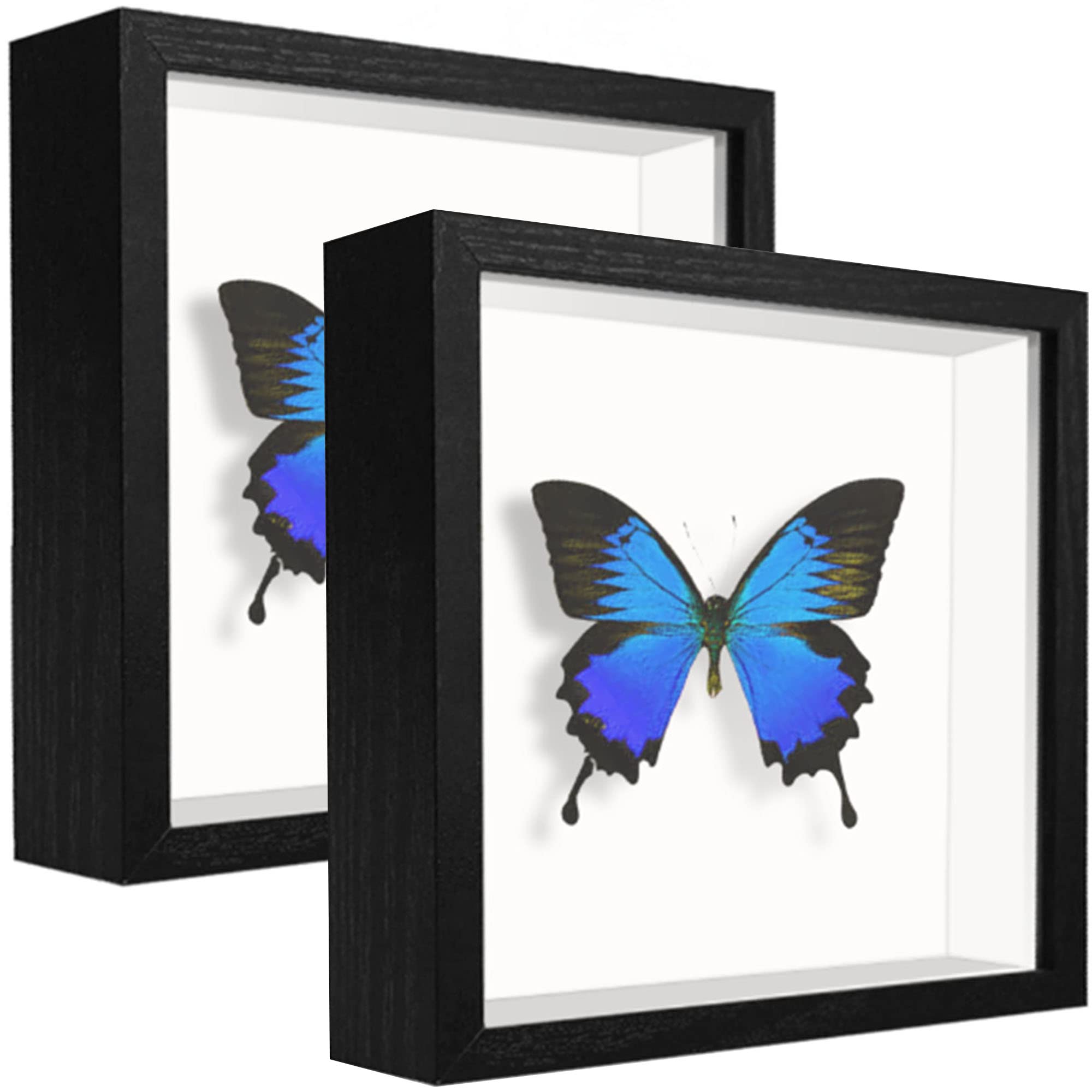 sunmeg 2Pcs 3D Shadow Box 5x5 Picture Frame Wooden Deep Box Square Photo Frames Desktop or Wall Hanging for Medal, Flower & Crafts Display — image 1