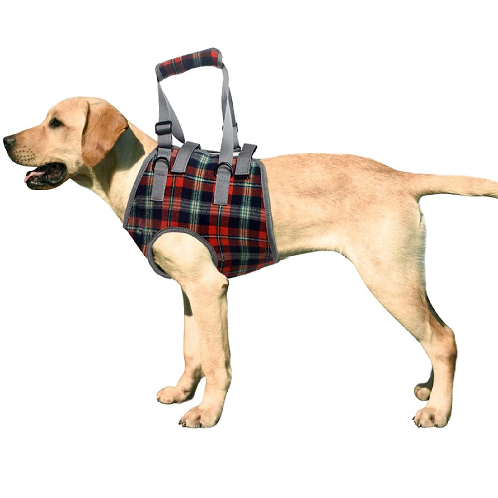 Large Dog Lift & Support Harness - Front Legs Sling for Arthritis & Paralysis Dogs (L) - Adjustable Padded Straps