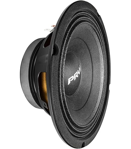 Alphasonik PSW912, 30 cm (12