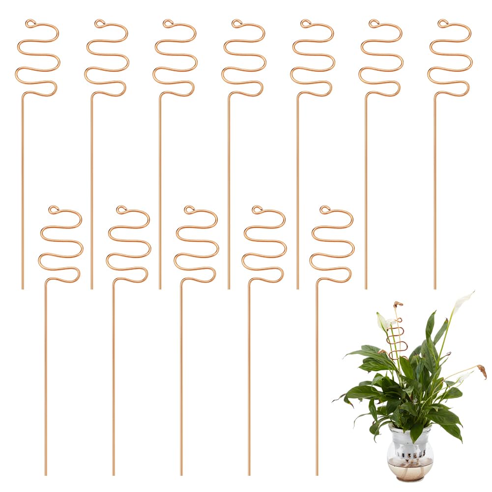 NBEADS 12Pcs Plant Support Stakes, 30cm Long Copper Plant Growth Support Bendable Garden Stem Flower Support Single Stem Plant Support Stakes for Outdoor Indoor Plant Flowers Vin