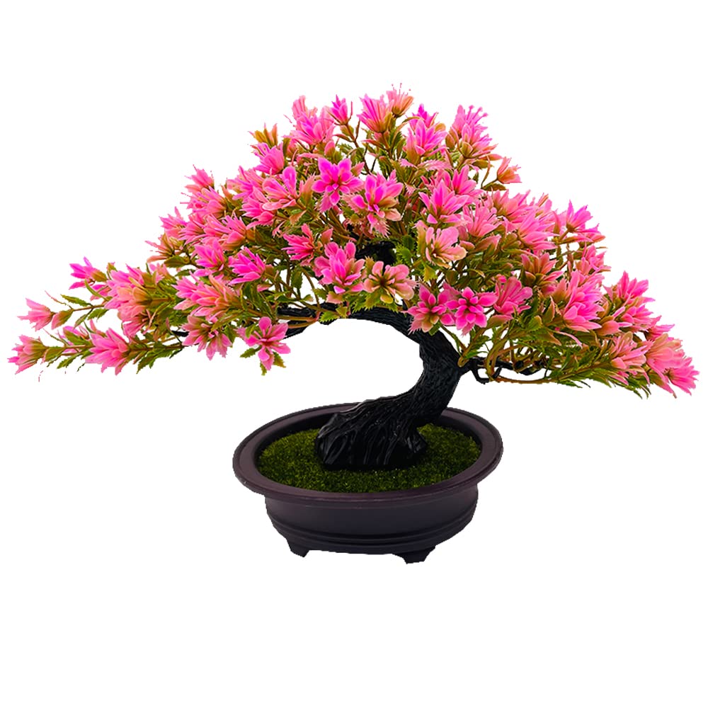 Fycooler Artificial Plants Bonsai Tree in Pots - Decorative Artificial Trees Realistic Artificial Japanese Pine Bonsai Juniper Fake Mini Plastic Plants for Home Office/Desktop Display,Zen Garden Décor