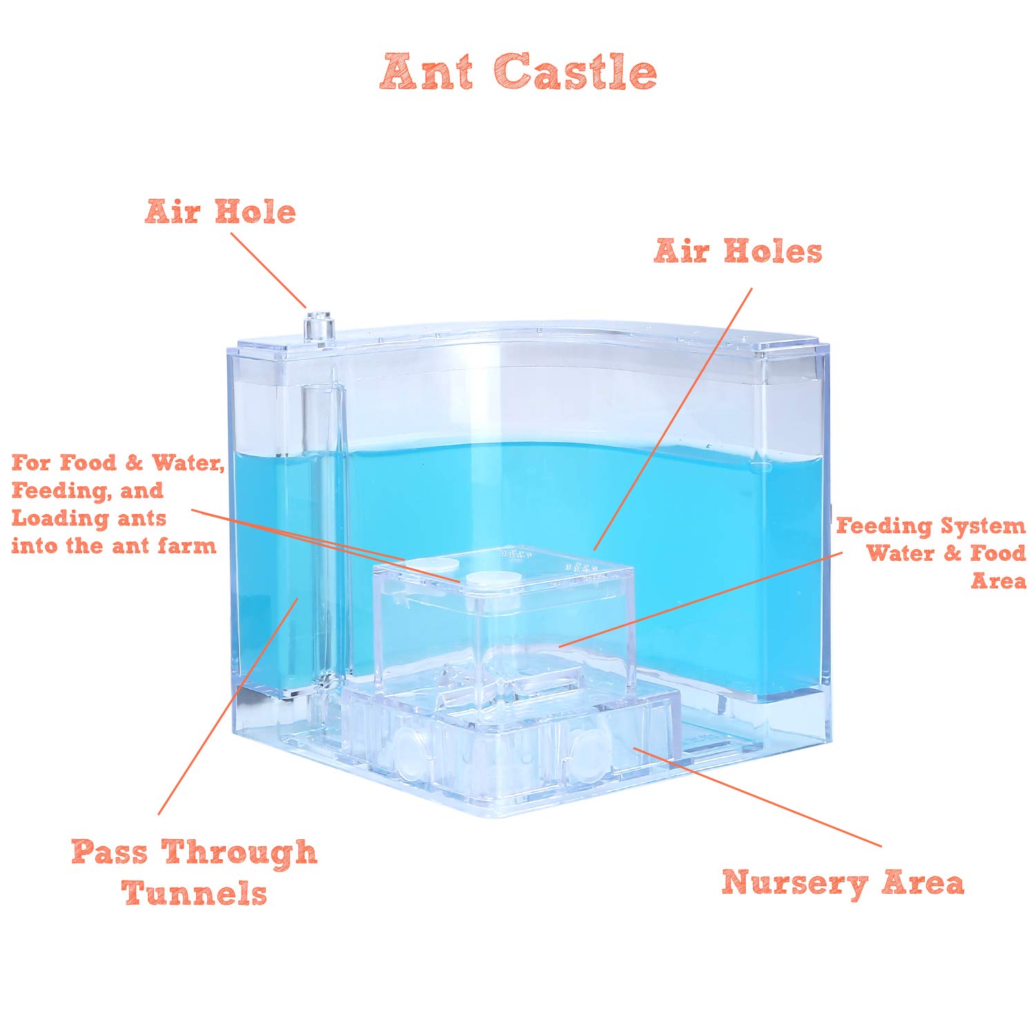 NAVADEAL Ant Farm Castle Experiment and Toy Allows Study of Social Structure, Architecture, Ecosystem, and The Behavior of Ants Within The 3D Maze of Translucent Gel