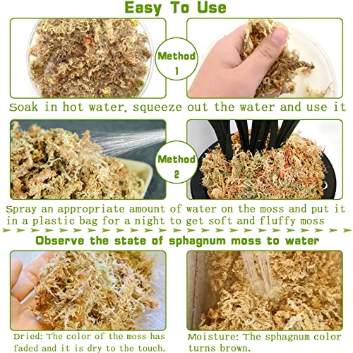 Legigo 1.2lb Premium Sphagnum Moss Potting Mix Natural Succulent