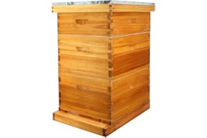 BEEKNOWS 10 Frame Langstroth Beehive Kit Dipped in 100% Beeswax Bee Hives with 2 Deep Bee Box and 1 Medium Bee Hive Box with Frame and Foundation(Unassembled)