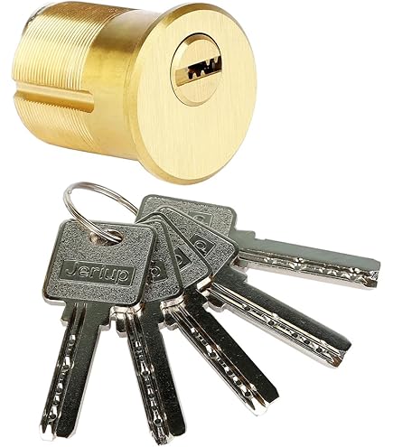 10070601 Verrou Arnov/Zénith 16 - Cylindre 60 Mm | Leroy Merlin