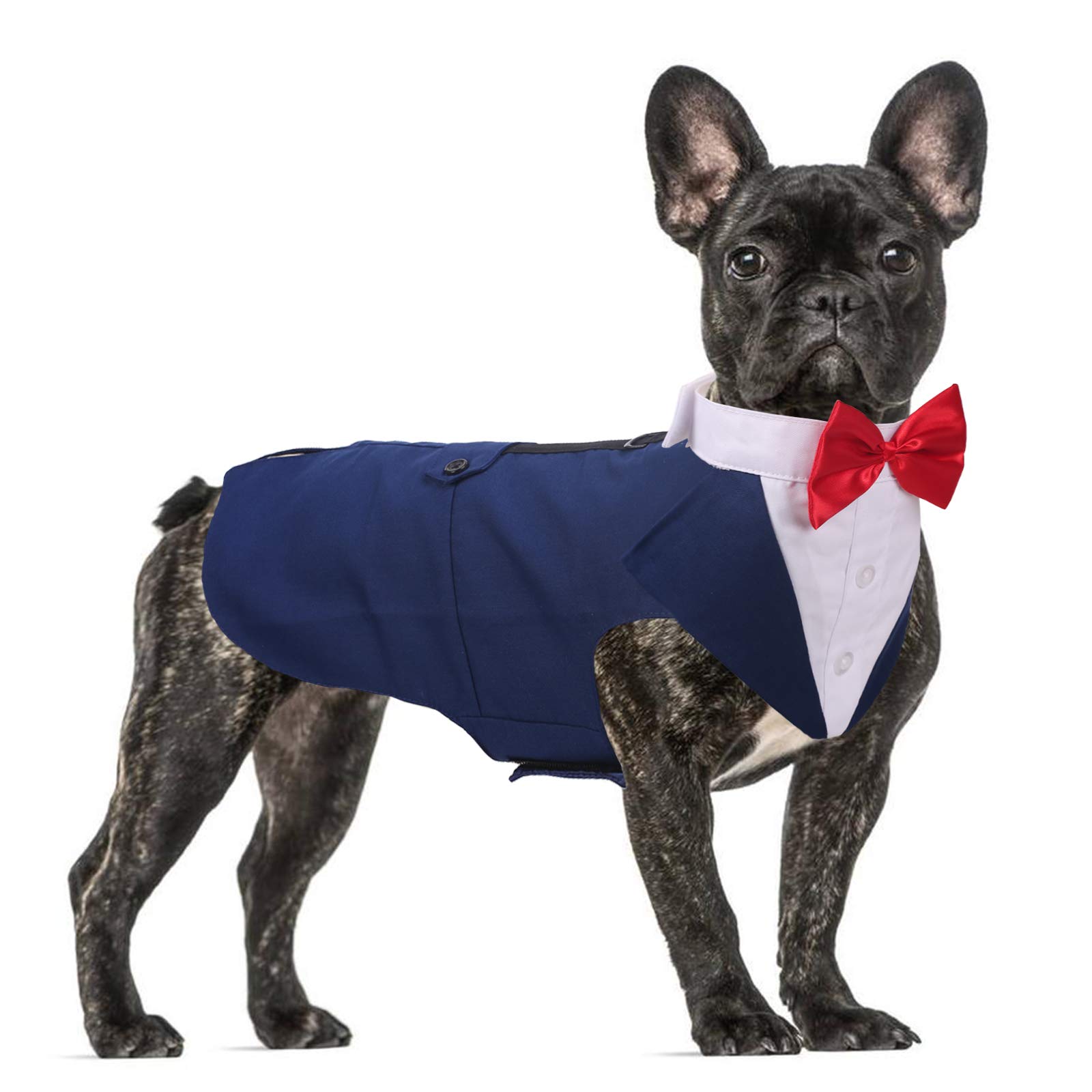 QBLEEV Dog Formal Tuxedo Suit for Medium Large Dogs，Dog Tuxedo Costume Wedding Party Outfit with Detachable Collar，Elegant Dog Apparel Bowtie Shirt and Bandana Set for Dress-up Cosplay Holiday Wear