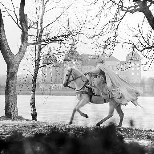 Drei Haselnüsse für Aschenbrödel - Neue HD-Restaurierung (Filmjuwelen / DEFA-Märchen) [DVD]