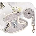 Cute Bear Dog Cat Harness Vest and Leash Set, Adjustable Mesh Material, Available in Blue, Pink, Yellow, Gray Colors (Grey)