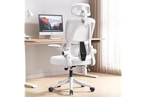 XUEGW Ergonomic Office Chair Comfort Home Desk Chair Adjustable High Back Mesh Chair Lumbar Support Computer Chair with Flip-up Arms for Work, Study, Gaming,White Mesdh Chair