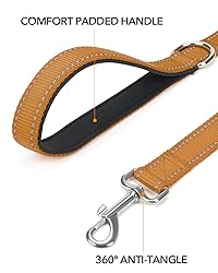 Taglory Dog Leash for Small Dogs, Double-Sided