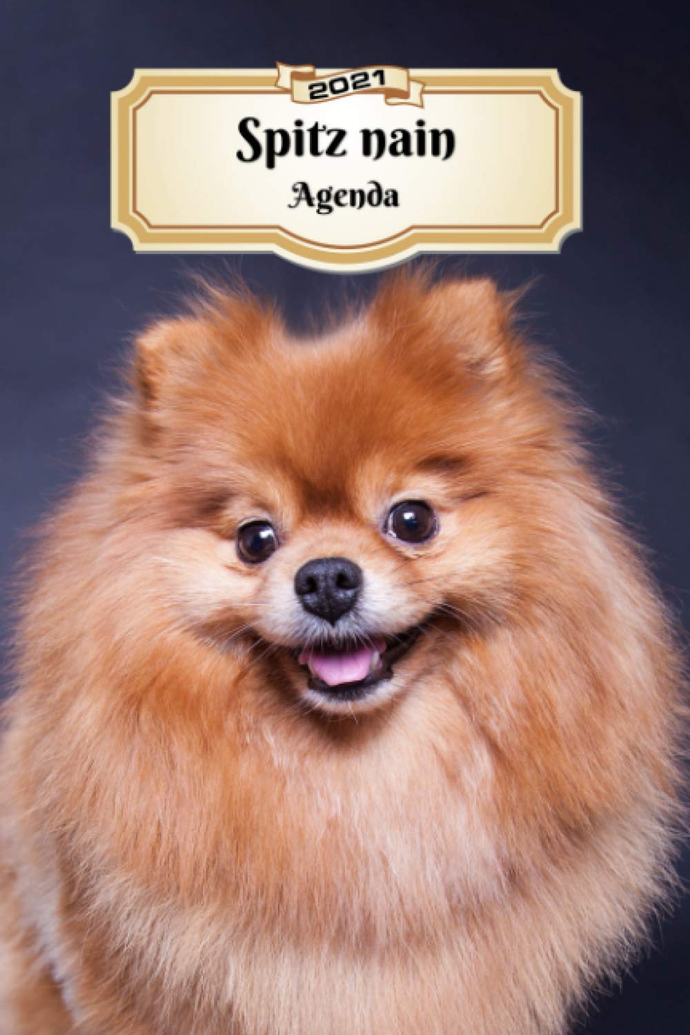 2021 Spitz Nain Agenda A5 107 Pages 12 Mois Planificateur Organiseur Calendrier Une Double Page Par Semaine Journal Chien En Francais French Edition Xlpress Cahiers Carnets 9798685846853 Amazon Com Books