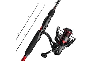 KastKing Royale Legend II Twin Tip Fishing Rod and Reel Combos, Spinning & Casting Combo, IM6 Graphite 2Pc Blanks, Extra Backup Tip Section, Stainless-Steel Guides, KastFlex Technology, EVA Handles