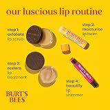 Burt's Bees Lip Shimmer Fig Tint Peppermint Oil 100% Natural Origin 2.55g view 10
