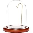 Plymor 3" x 4" Watch Glass Display Dome Cloche (Walnut MDF Base & Brass Wire)