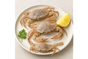 OCEANZEN Soft Shell Crabs – 12 Jumbo Count – Wild-Caught & Flash-Frozen – Cleaned and Ready to Cook – Perfect for Seafood Parties & Family Dinners