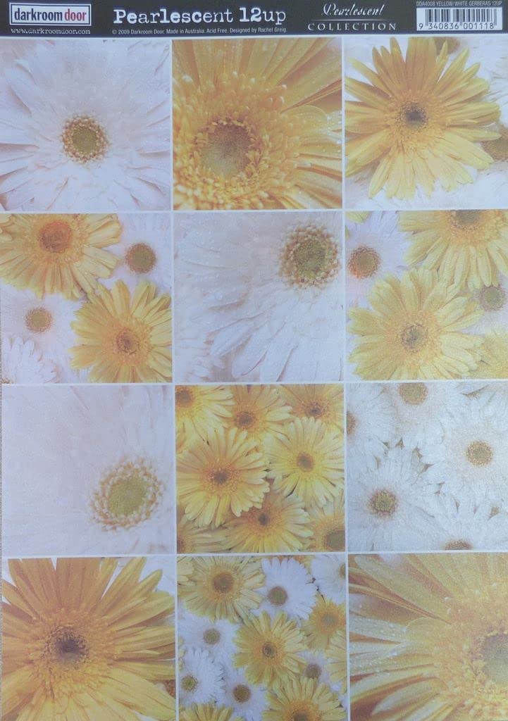 Darkroom Door A4 Gerberas Pearlescent Paper, Pack of 10, Yellow/ White