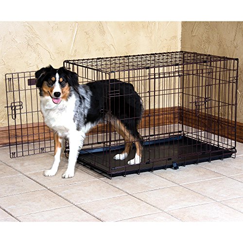 Precision Pet Products Two Door Great Crate Wire Dog Crate, 42 Inch