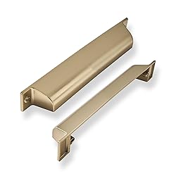 ZAUYX 2 Pack 2-1/2 Inch Center to Center Brushed