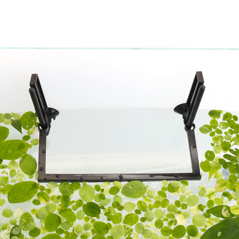 Aquarium Filter & Floating Plant Corral - Tank Accessories, Decorations with Adjustable Height Water Level, Feeding Ring (Style One)
