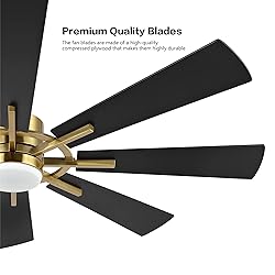 WINGBO 60" DC Ceiling Fan with Lights and Remote