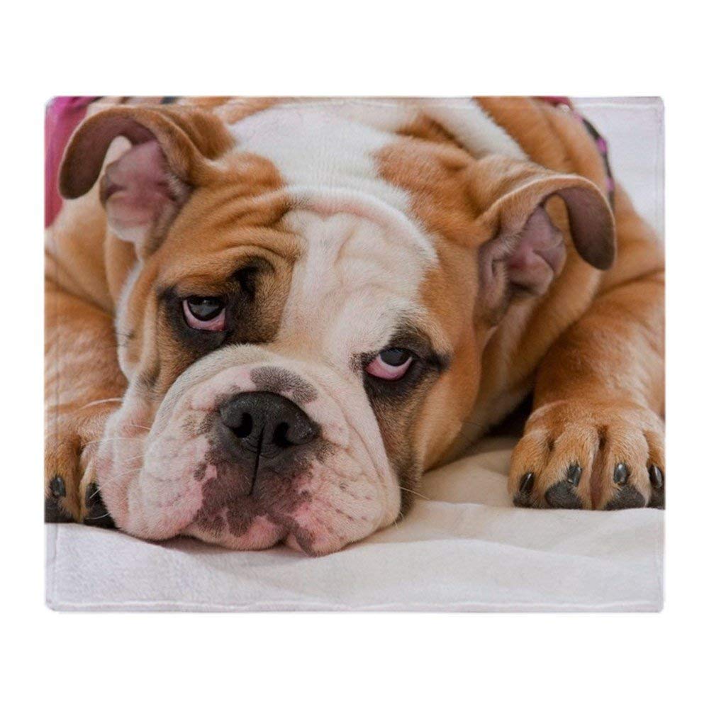 YISUMEI - Soft Fleece Blanket - English Bulldog, 100 x 150 cm Throw Suitable for Sofa or Bed