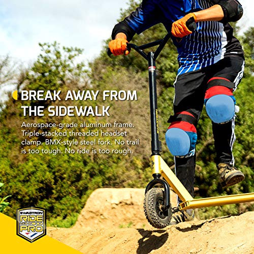 Swagtron KR1 AllTerrain Dirt Kick Scooter ASTMCertified & 8INCH