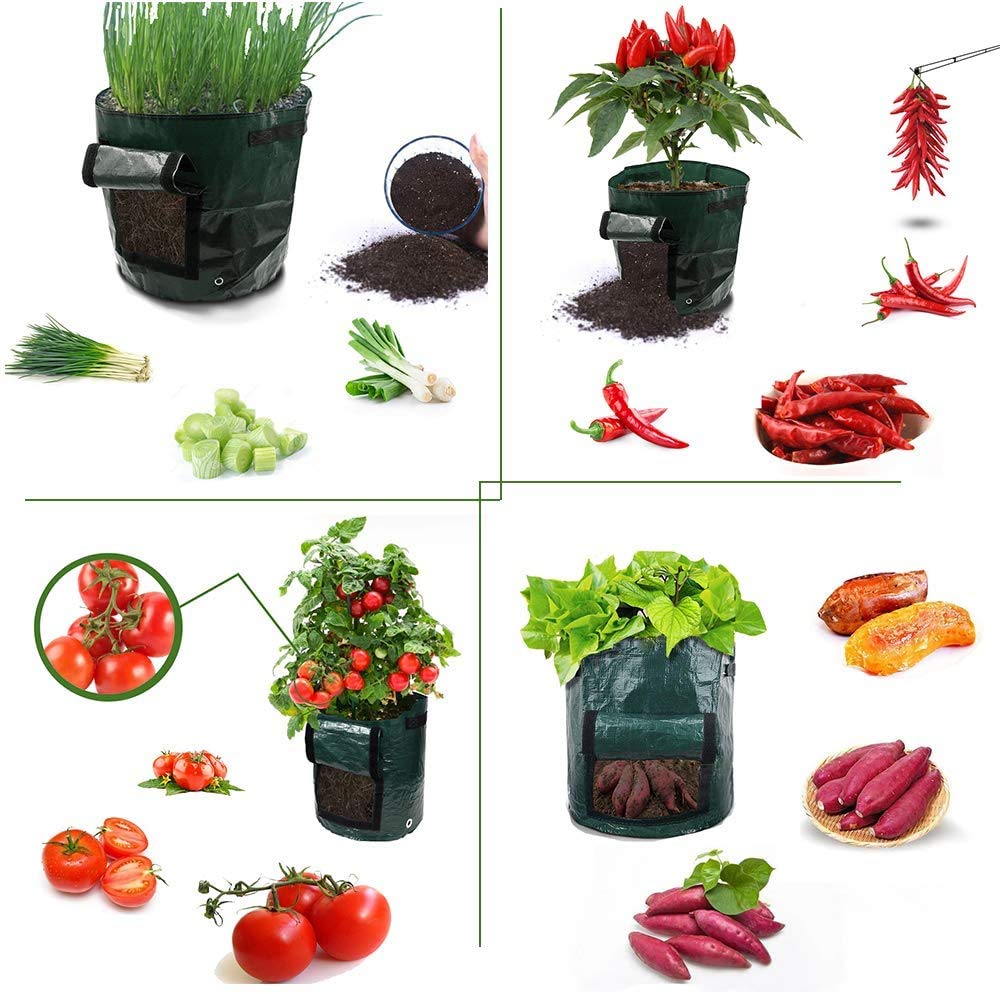 Syed Haider Limited Vegetable Garden Grown PLANTERS .Potato Grown Bags 2,Pack PE Green 10 Gallon Grown Bags Design with Handles.
