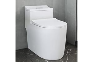 WinZo WZ5080S Dual Flush One Piece Toilet With 10" Rough-in Elongated Comfortable Height, White
