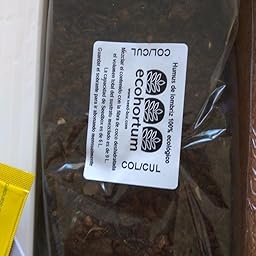 SeedBox SBCUHB-Hierba Buena: Amazon.es: Jardín