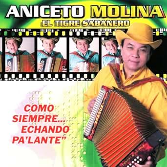 aniceto molina el campanero mp3 aniceto molina el campanero mp3